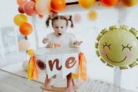 Wren | 1st Birthday